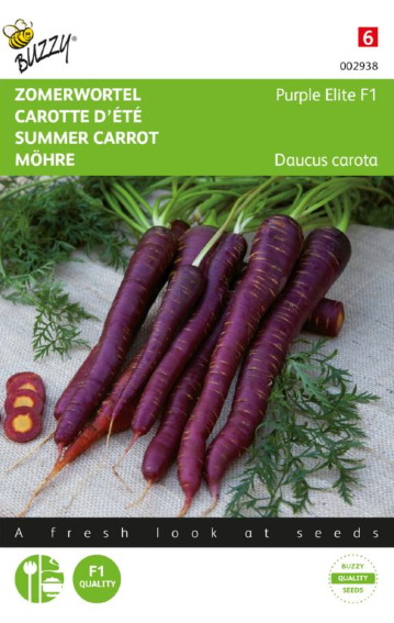 Carrot Purple Elite F1 (Daucus) 400 seeds BU